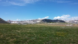 New life against  old, majestic rock